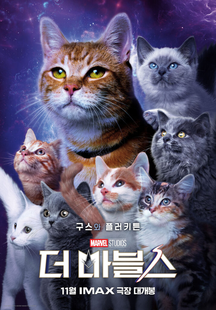 더마블스에서 고양이 구스와 플러키튼 군단의 모습이 그려진 더마블스 포스터